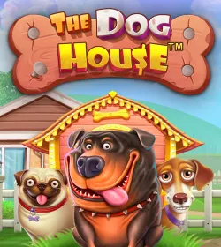 Слот The Dog House