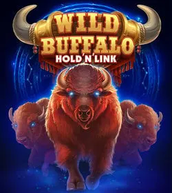 Слот Wild Buffalo Hold'n'Link
